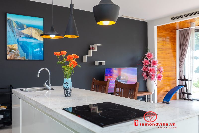 villa Vung Tau gan bien aria resort