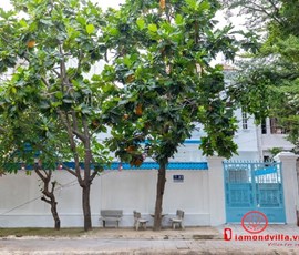 villa Vũng Tàu giá rẻ 32 LLQ