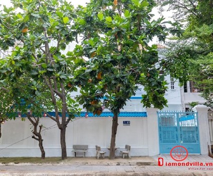 villa Vũng Tàu giá rẻ 32 LLQ